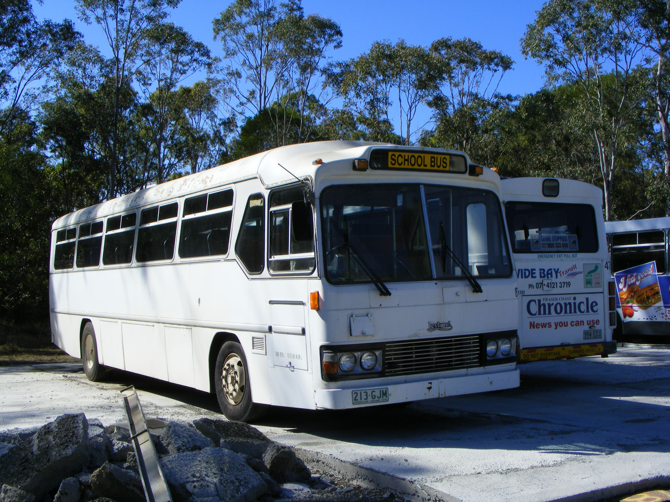 Sydney Buses BUS IMAGE GALLERY
